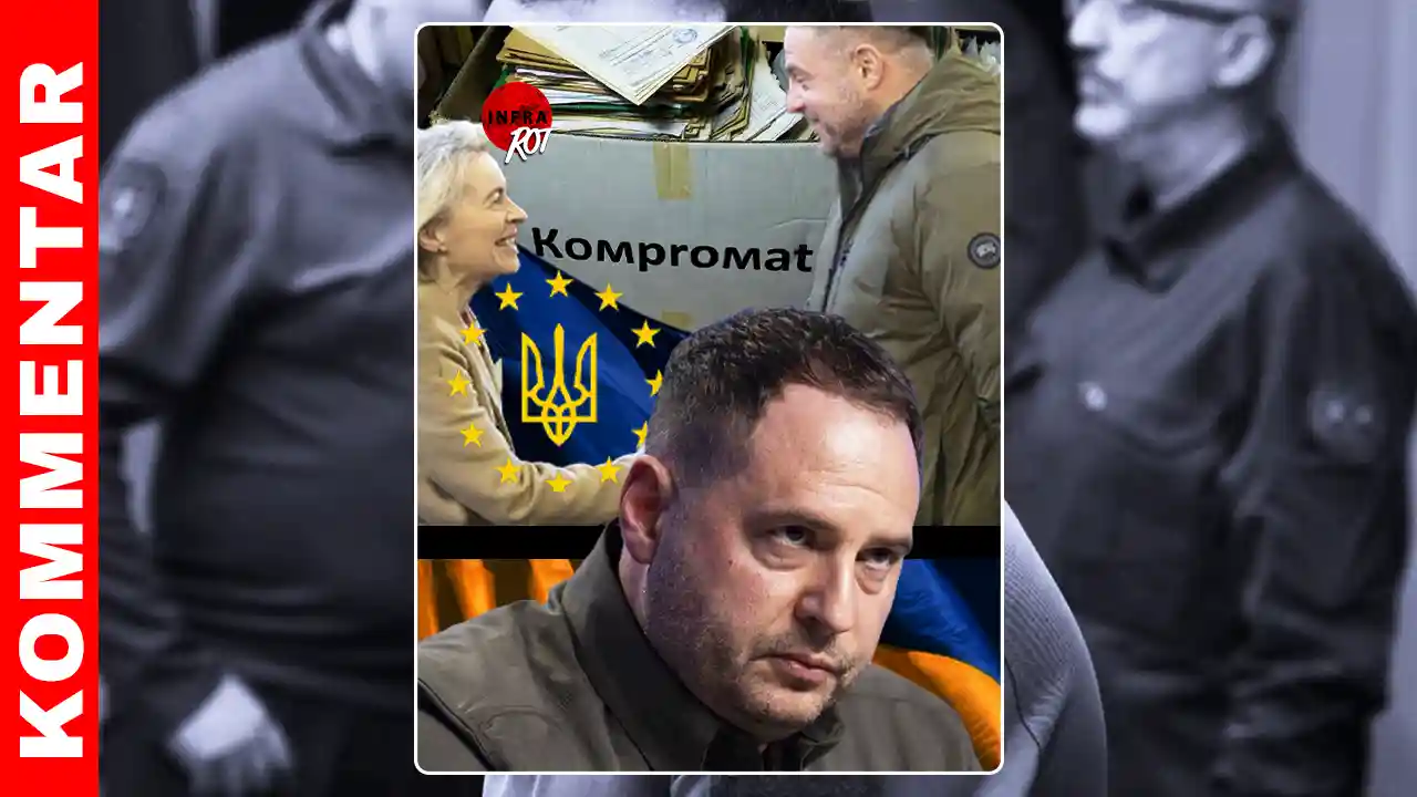 Schwanz, der mit dem Hund wedelt post image