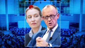 Merz attackiert Weidel - und greift ins Klo post feature image